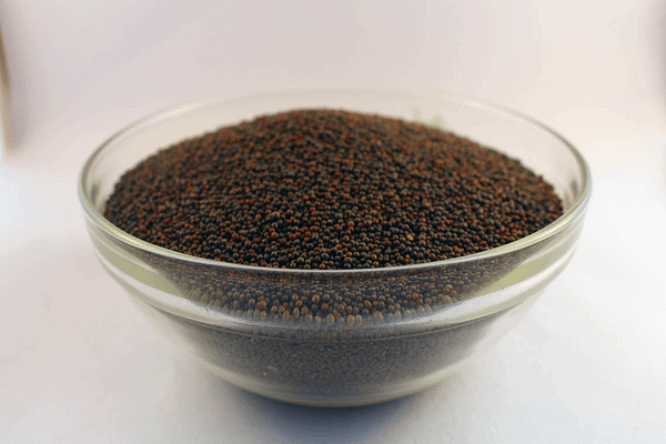 Rai (Small)/Mustard (Small) 100gms (ఆవాలు (చిన్న)  )